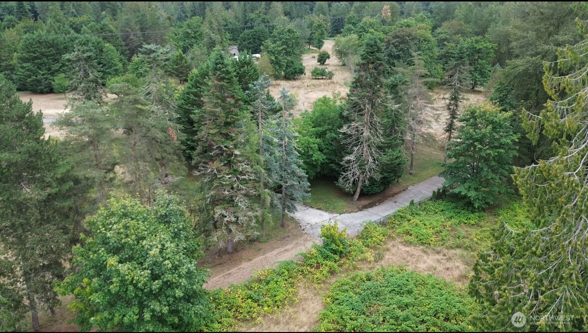18646 Byers Road Southeast Maple Valley, WA 98038 - Photo 5 of 13 an aerial view of residential house with outdoor space and trees all around