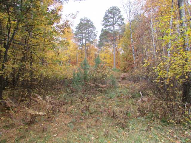 1331 Scott Road Woodruff, WI 54568 - Photo 19 of 20 Gallery Image 19