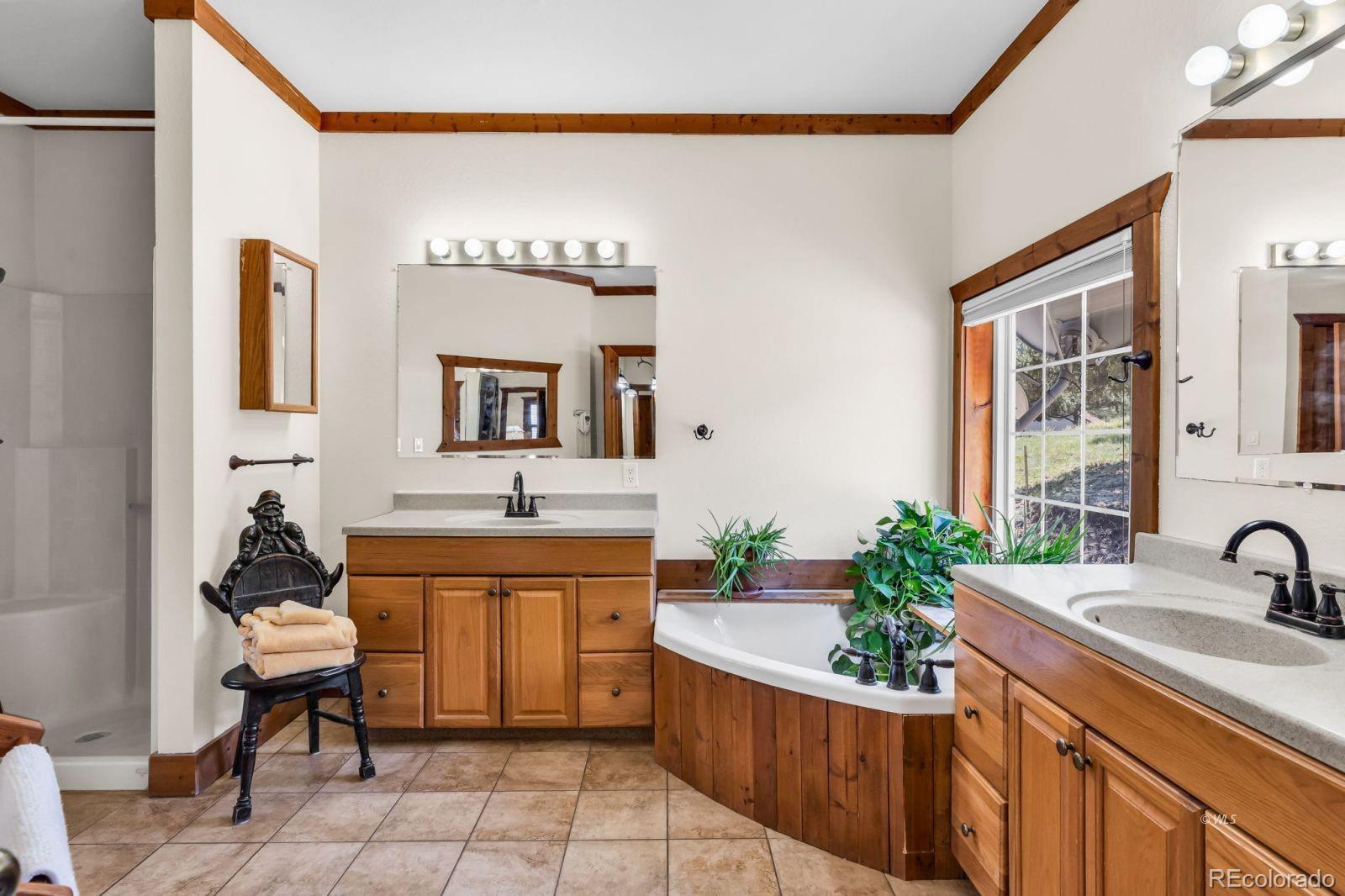 220 Rhonda Road Westcliffe, CO 81252 - Photo 18 of 35 a spacious bathroom with a sink a mirror and a bathtub