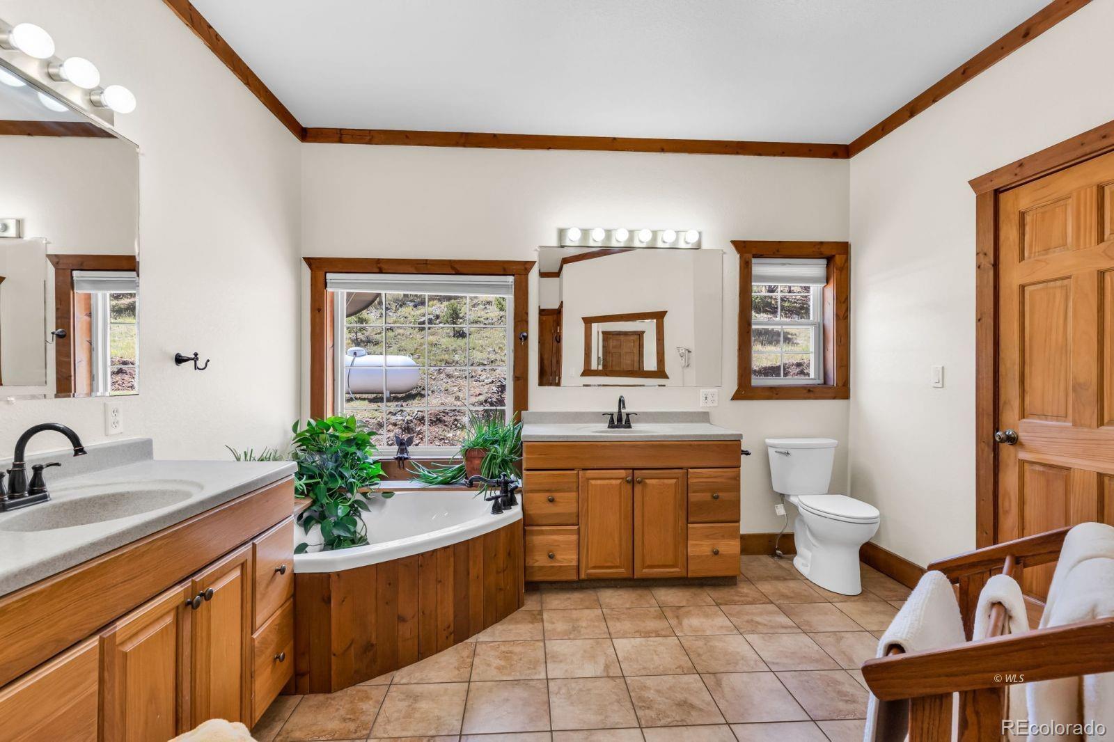 220 Rhonda Road Westcliffe, CO 81252 - Photo 20 of 35 a spacious bathroom with a granite countertop sink and a bathtub