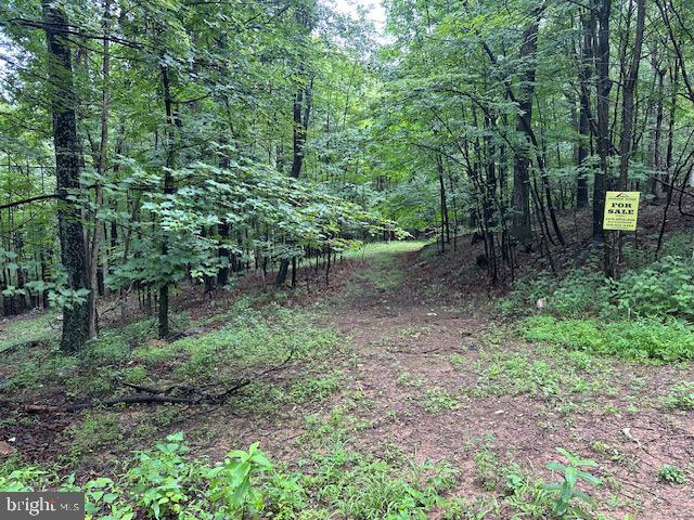 Lot 61 High Mountain View Road Romney, WV 26757 - Photo 2 of 9