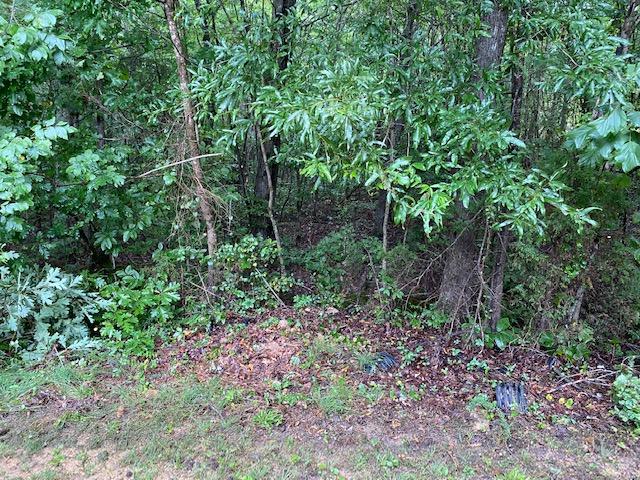 798 Kings Hill Road Spring City, TN 37381 - Photo 12 of 24 image12