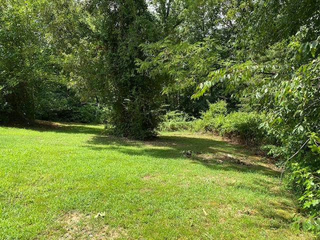 798 Kings Hill Road Spring City, TN 37381 - Photo 9 of 24 IMG_4506