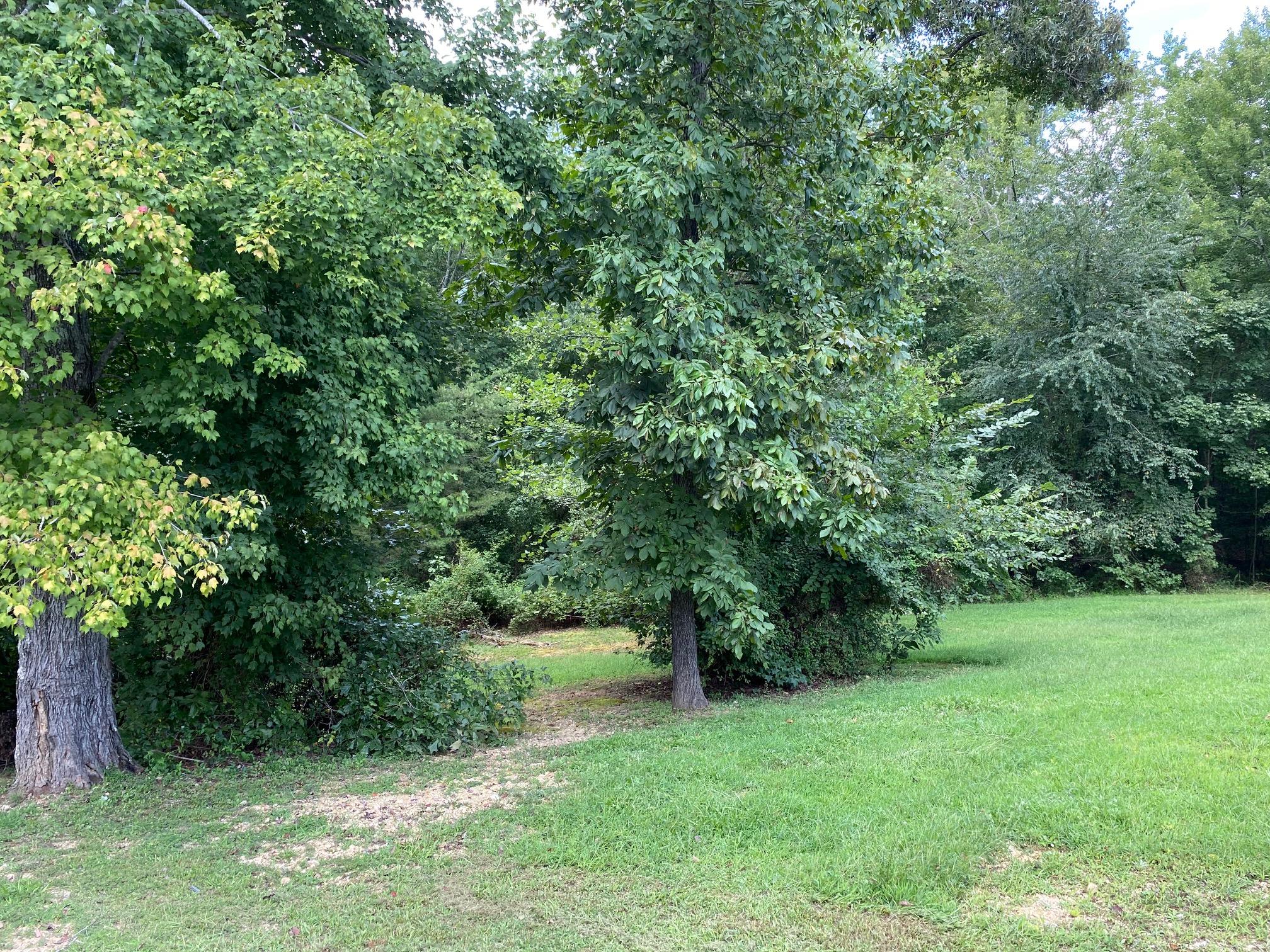 798 Kings Hill Road Spring City, TN 37381 - Photo 10 of 24 IMG_4675