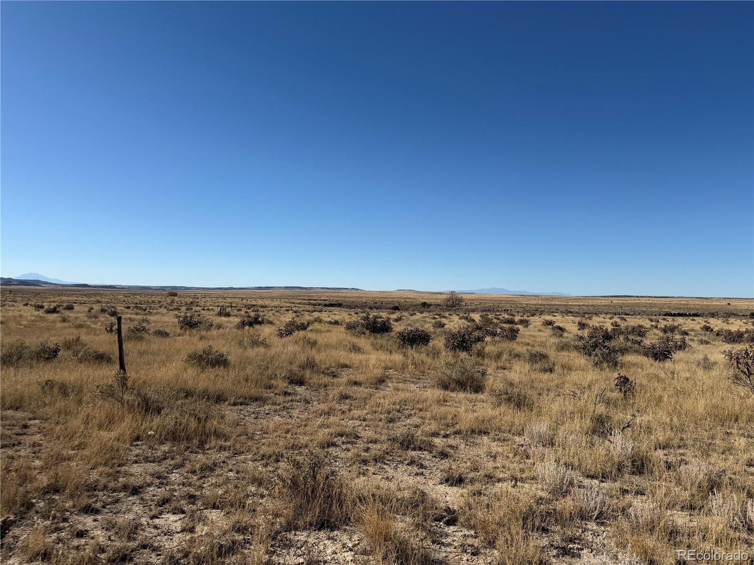 316 Longhorn Ranch Model, CO 81059 - Photo 5 of 7