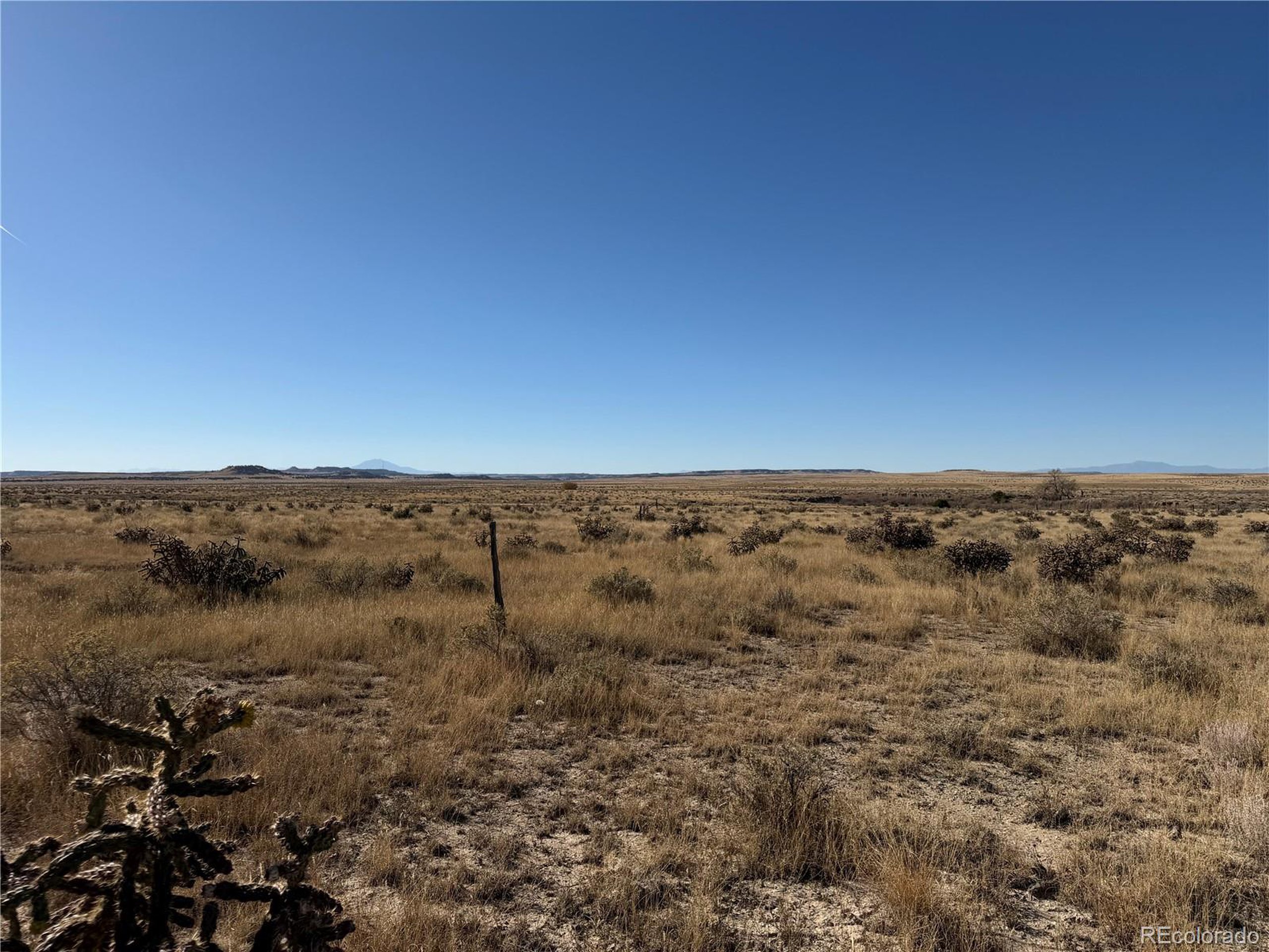 316 Longhorn Ranch Model, CO 81059 - Photo 6 of 7 an view of a field