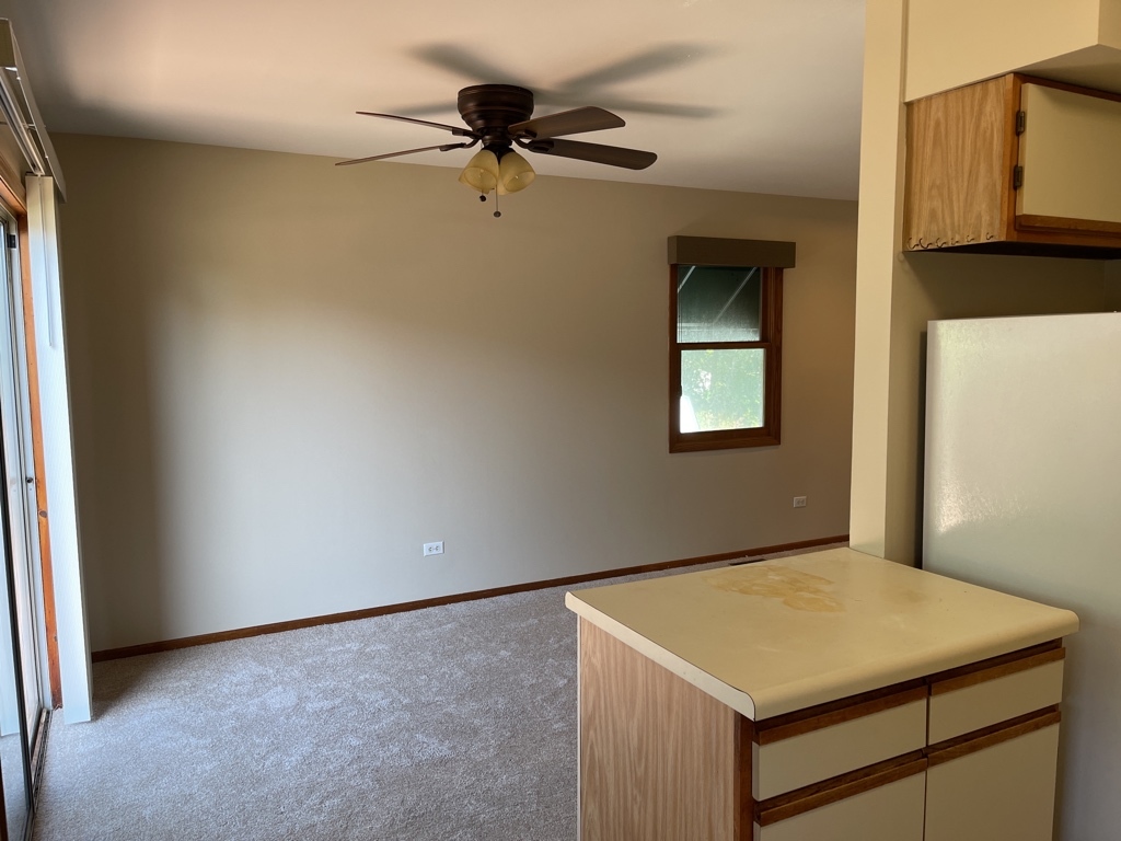 352 College Street Crystal Lake, IL 60014 - Photo 8 of 20