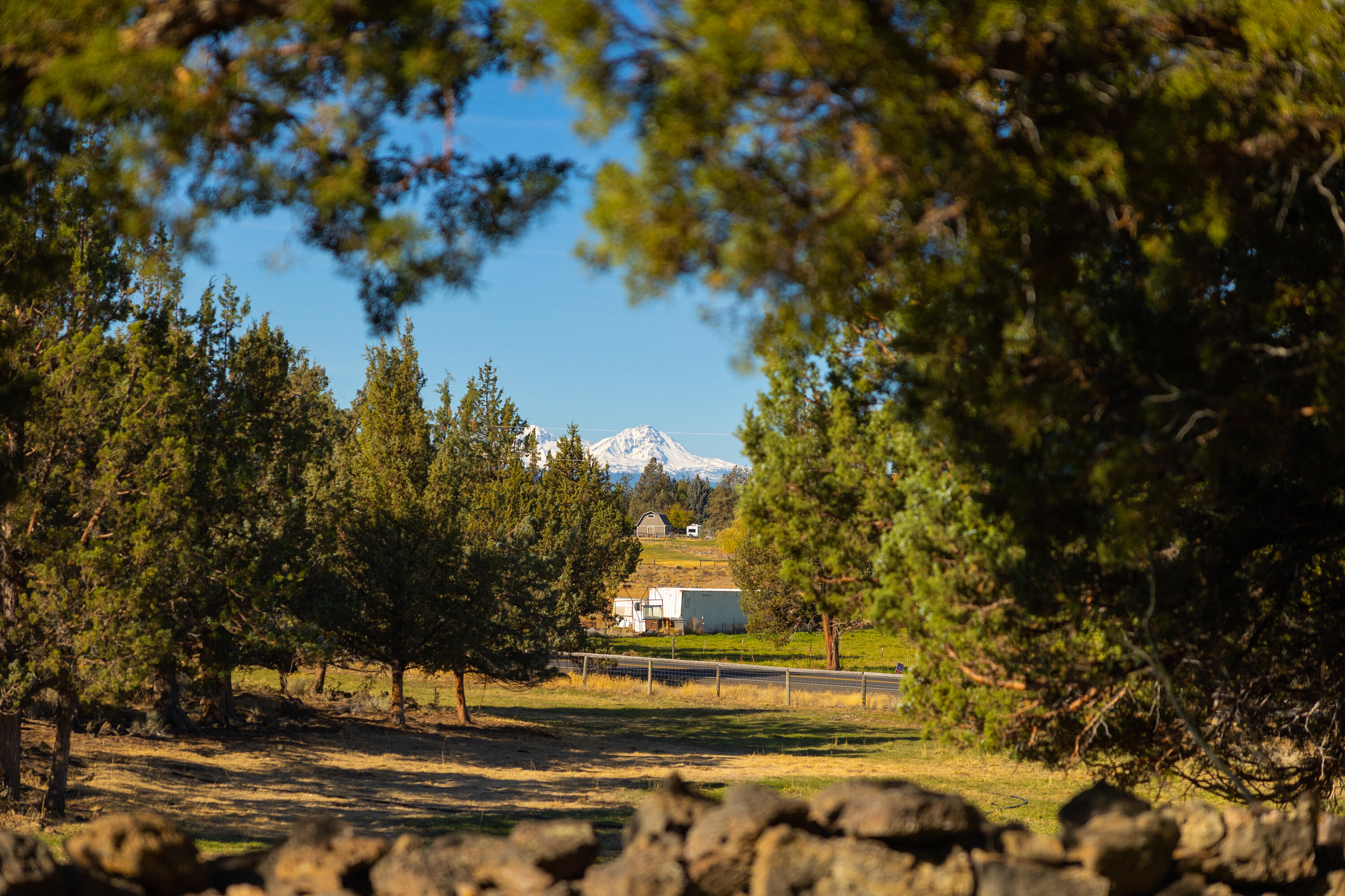 23321 Alfalfa Market Road Bend, OR 97701 - Photo 52 of 76 a view of a yard with large trees