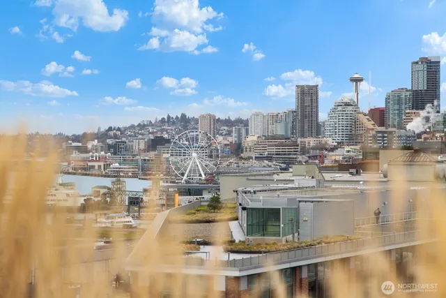 a view of a terrace with wooden floor