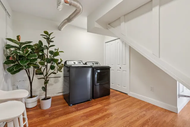 a room with wooden floor and plant