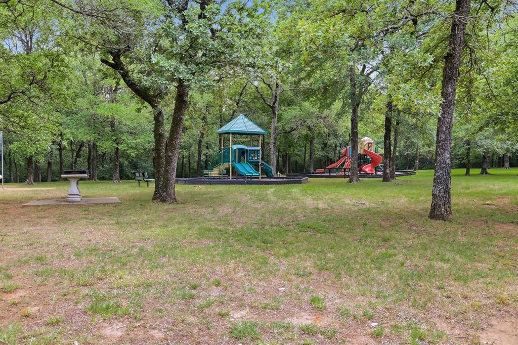 521 Diamond Point Drive Oak Point, TX 75068 - Photo 38 of 40 Alexandrite Park