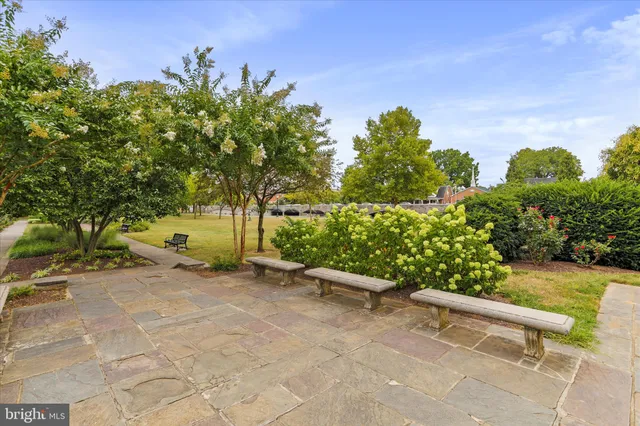 a view of a lake with a yard and large trees