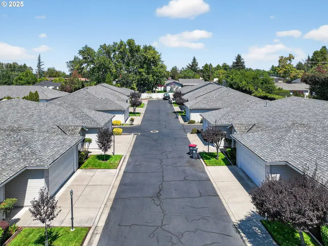 a view of a street with a large trees