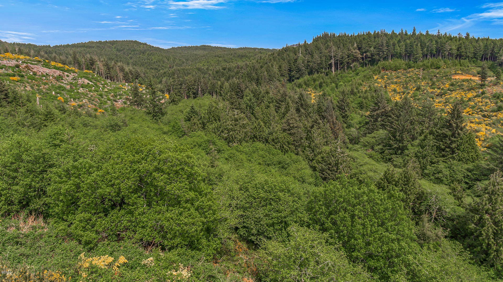 Lot16 Northeast Spring Avenue Depoe Bay, OR 97341 - Photo 5 of 31 Lot 16 - 204 MLS Reduced