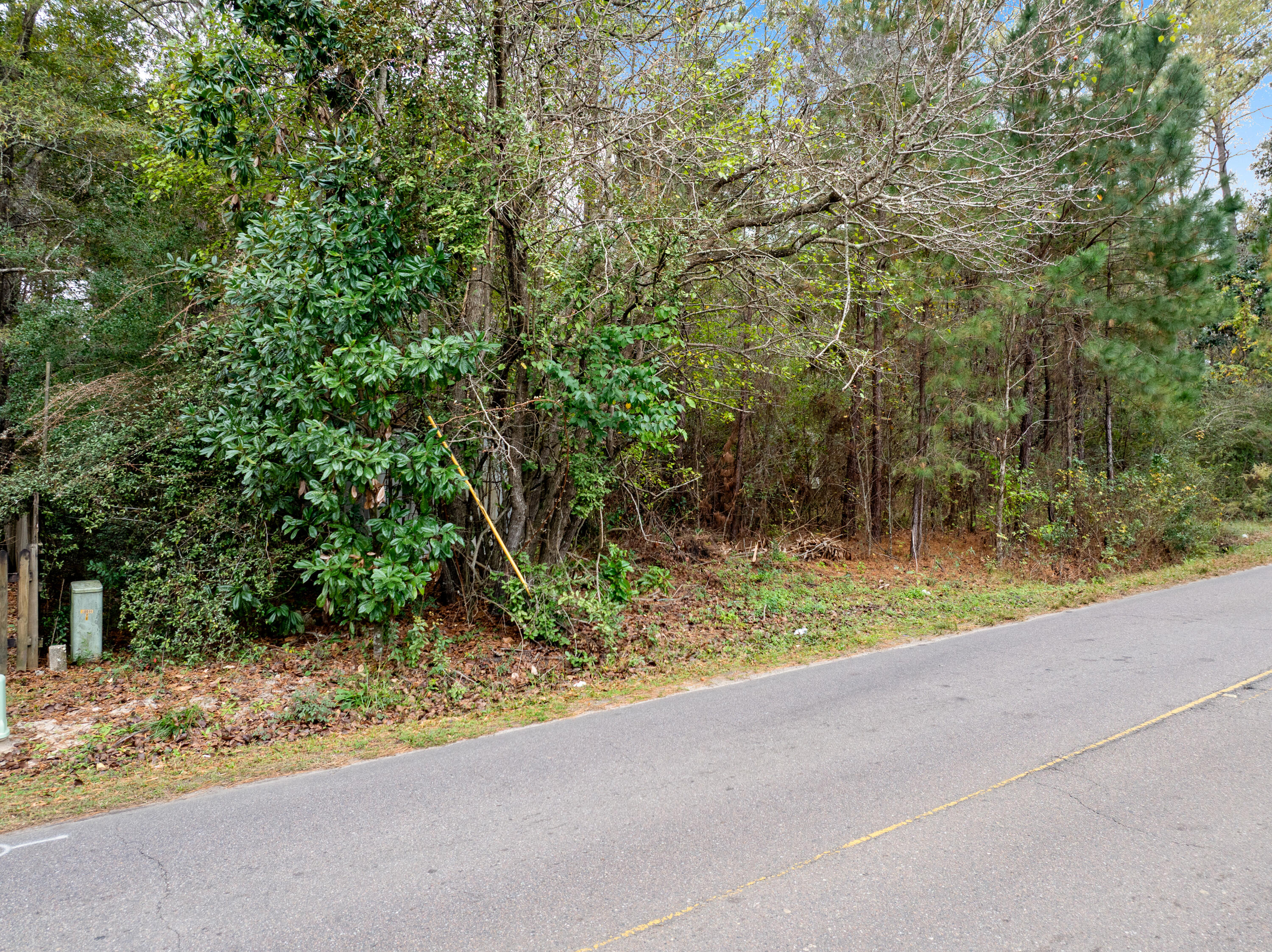 135 Kitfield Road Moncks Corner, SC 29461 - Photo 5 of 7 Hill.NicoleBurbagePhoto-6