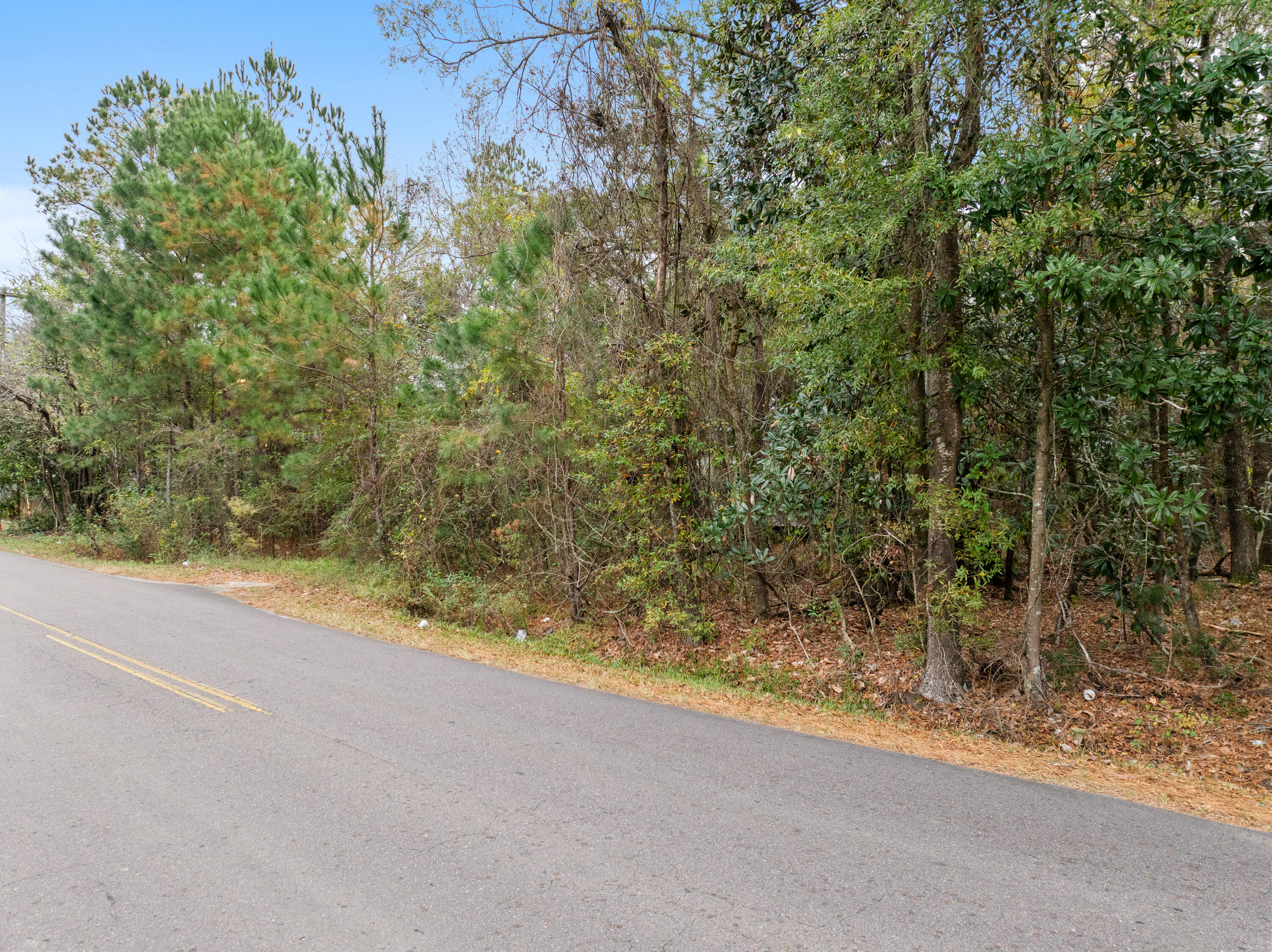 135 Kitfield Road Moncks Corner, SC 29461 - Photo 6 of 7 Hill.NicoleBurbagePhoto-7
