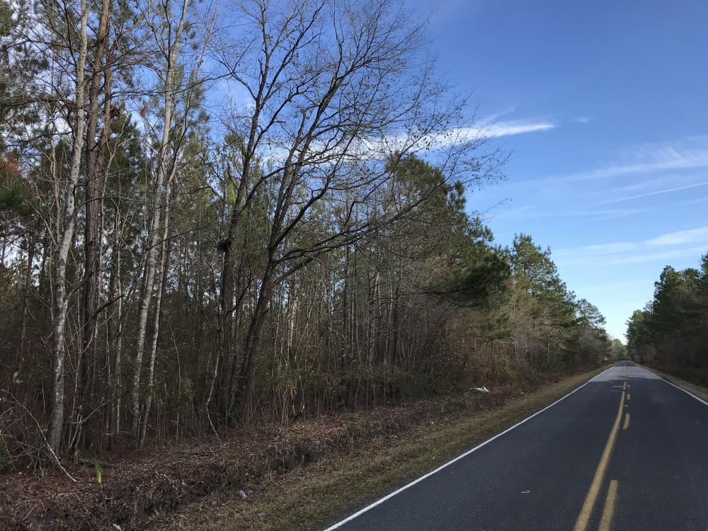 0 Roper Woods Rd Lake Lake City, SC 29560 - Photo 1 of 6 1