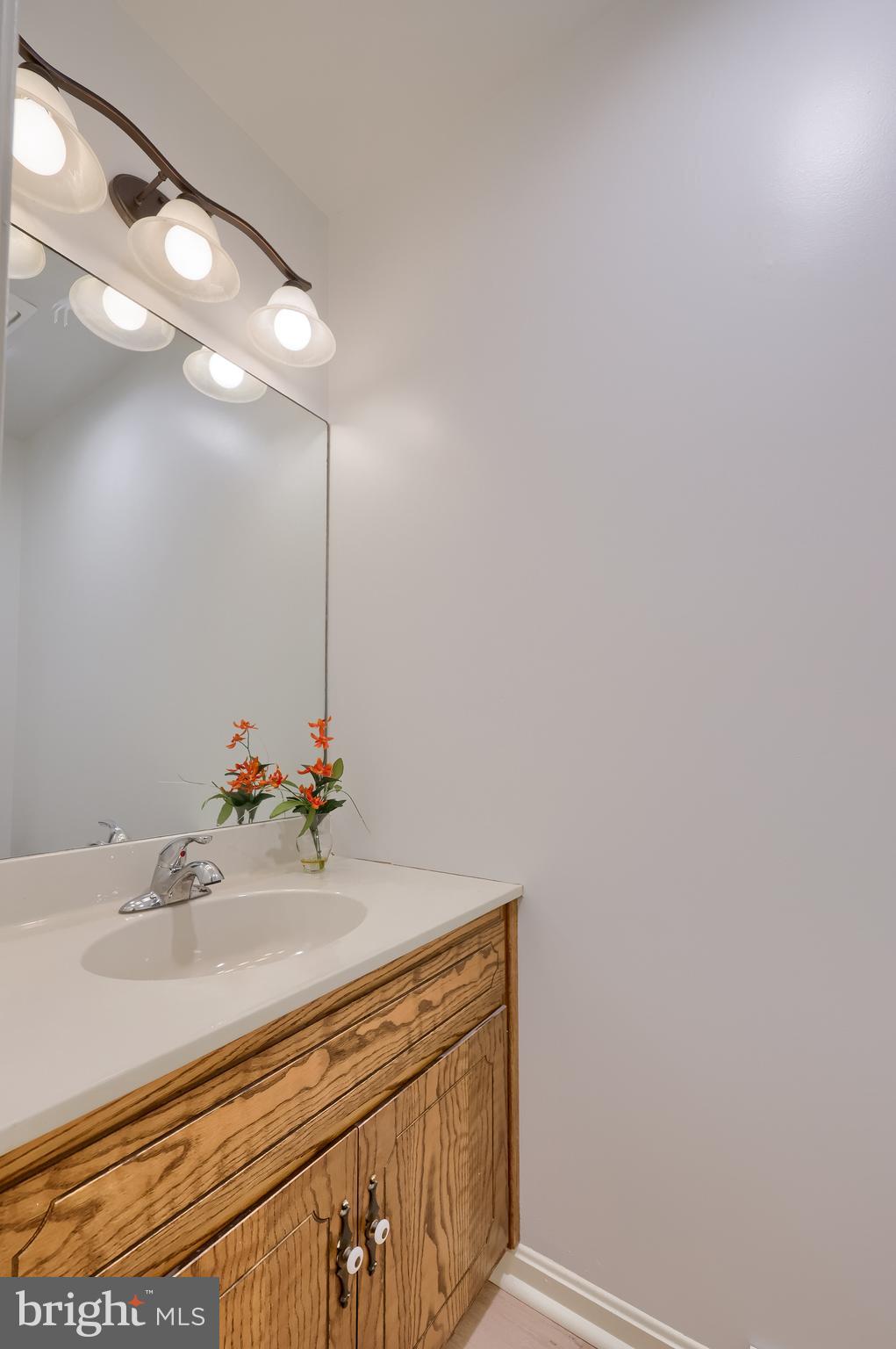1 Brookwood Drive Lititz, PA 17543 - Photo 24 of 42 a bathroom with a sink and a mirror