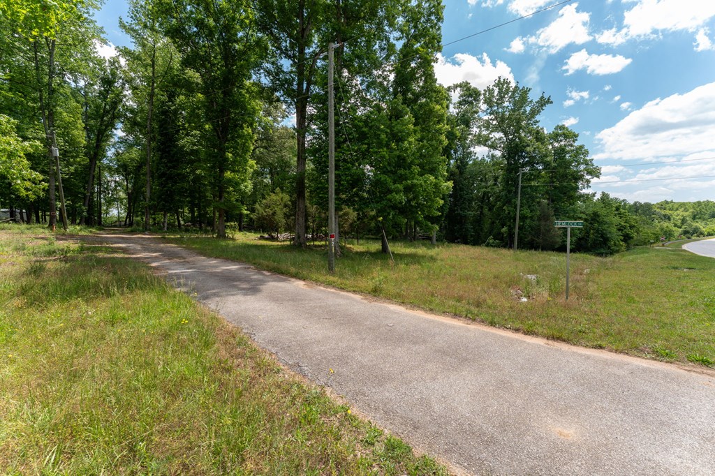 77 Hemlock Drive Clinton, SC 29325 - Photo 11 of 18