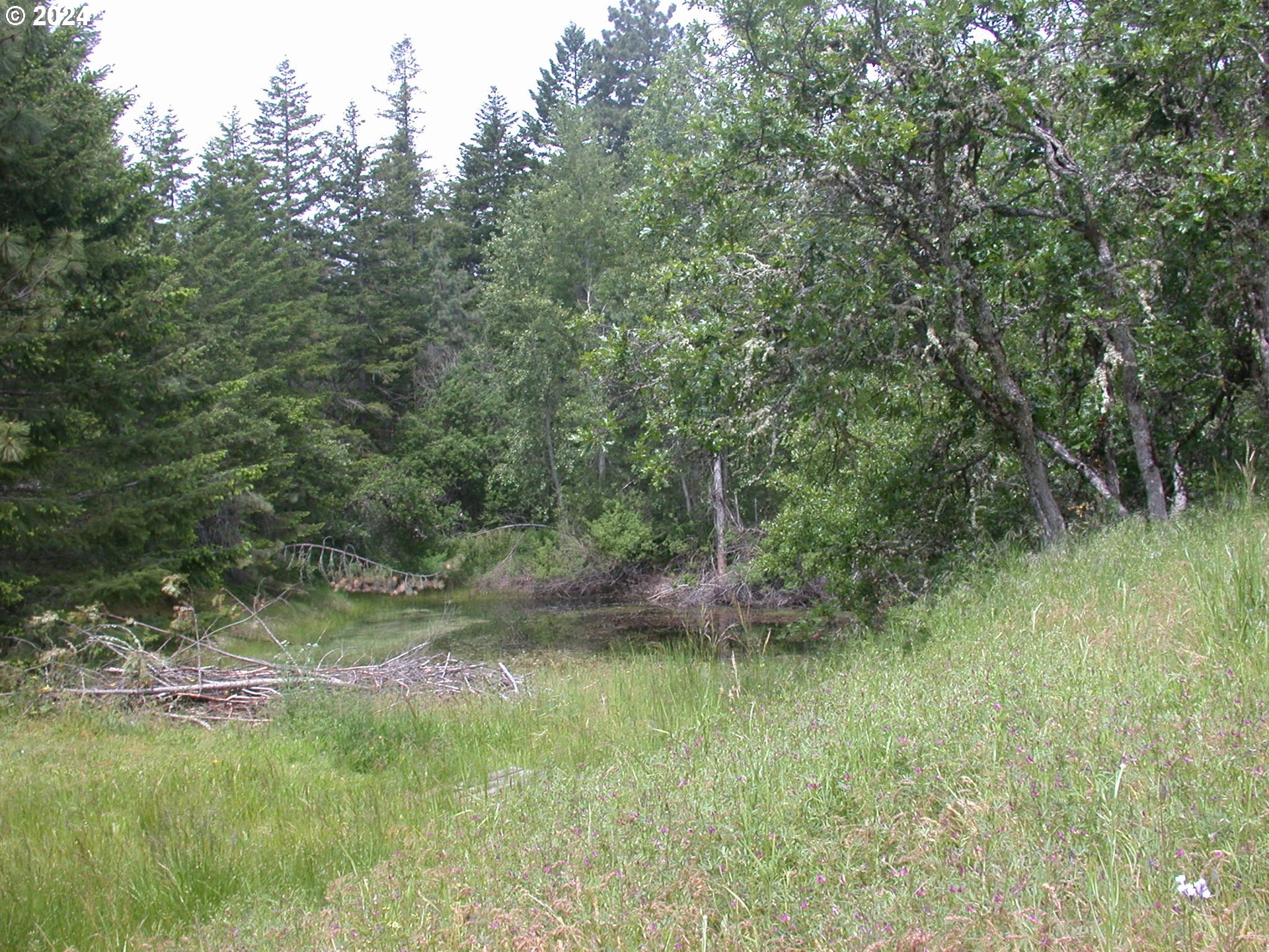 6575 Martin Road The Dalles, OR 97058 - Photo 4 of 22 Gallery Image 4