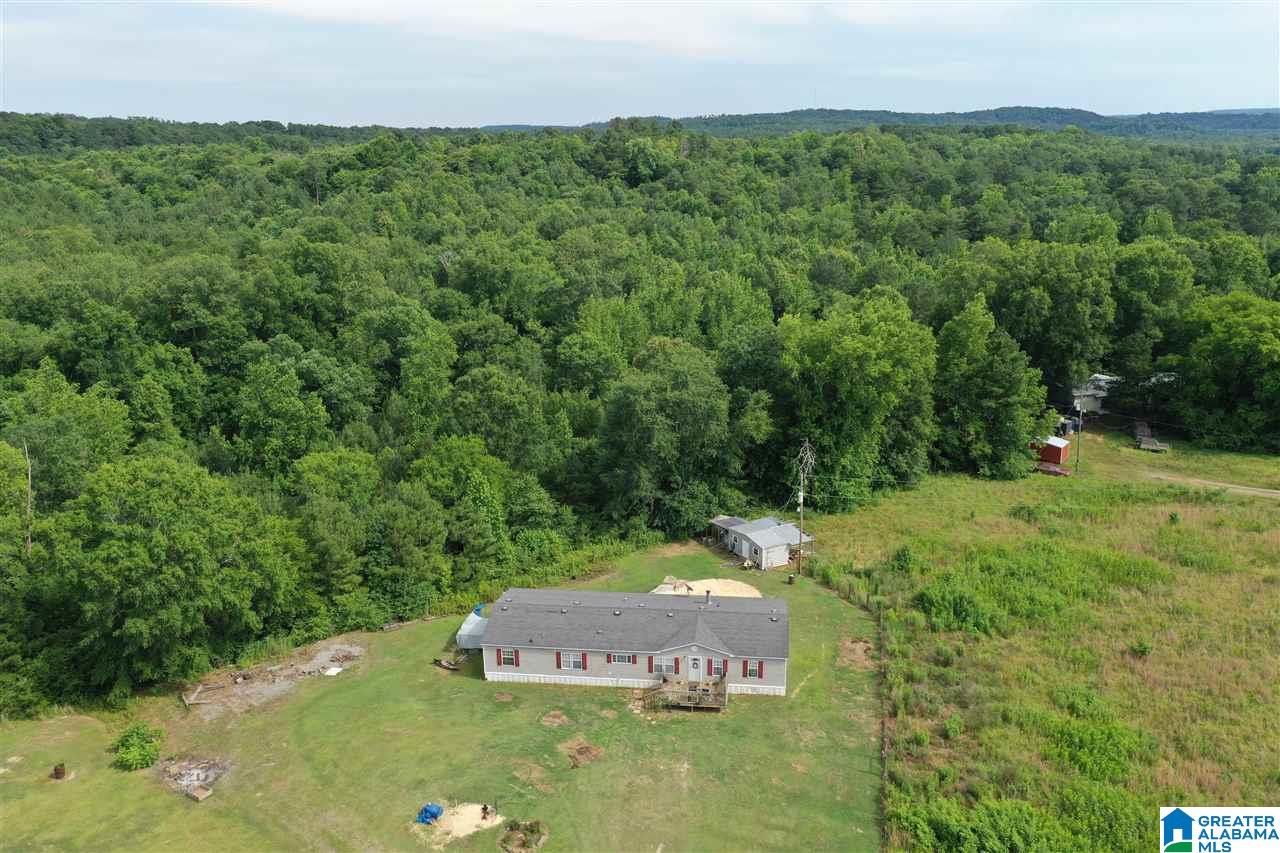 67 Pate Road Cordova, AL 35550 - Photo 12 of 24
