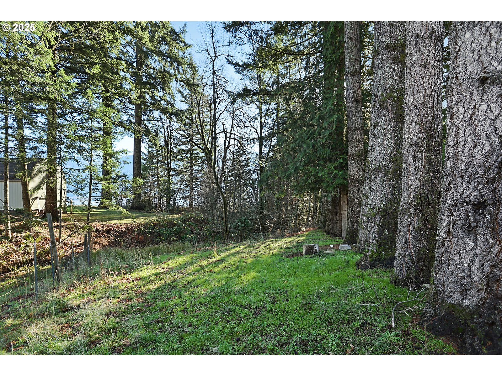 6221-4 East Loop Road Stevenson, WA 98648 - Photo 11 of 37 Gallery Image 11