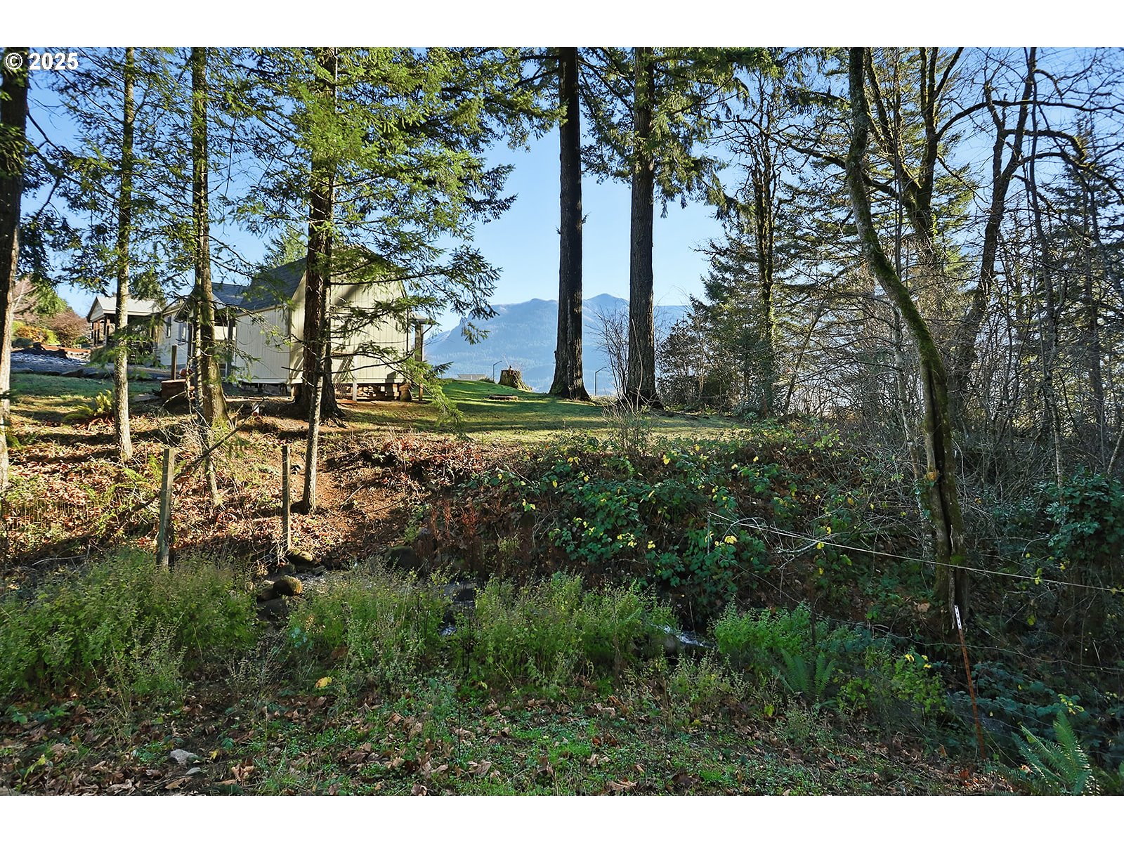 6221-4 East Loop Road Stevenson, WA 98648 - Photo 12 of 37 Gallery Image 12