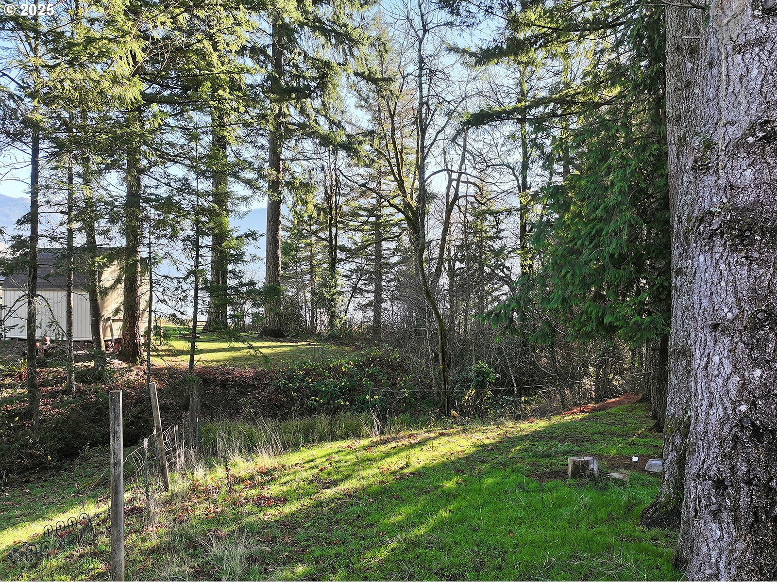 6221-4 East Loop Road Stevenson, WA 98648 - Photo 16 of 37 Gallery Image 16