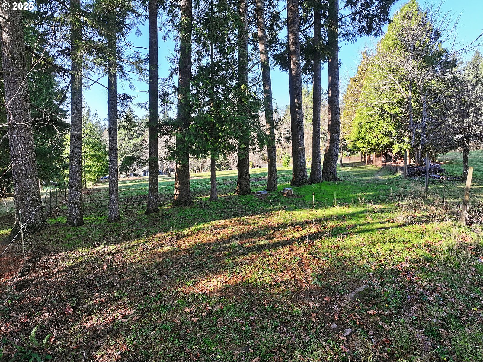 6221-4 East Loop Road Stevenson, WA 98648 - Photo 19 of 37 Gallery Image 19