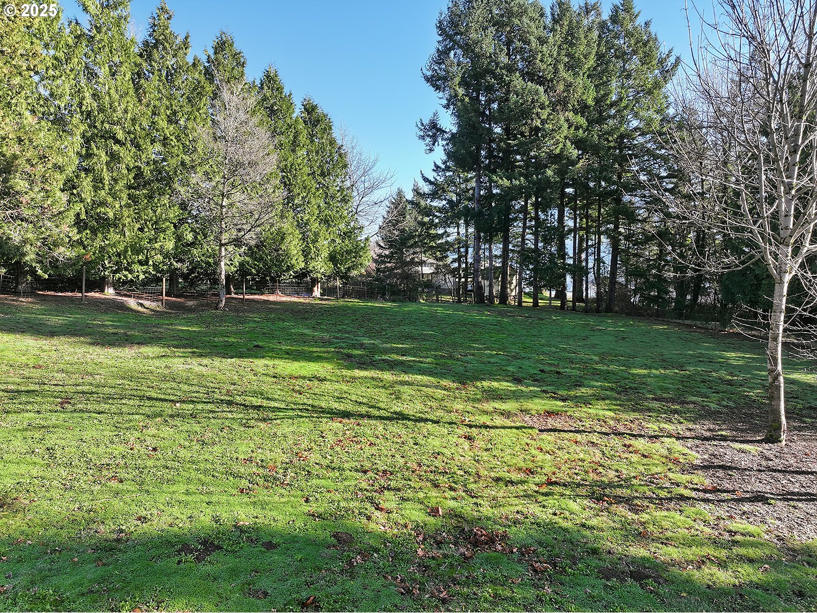 6221-4 East Loop Road Stevenson, WA 98648 - Photo 5 of 37 Gallery Image 5
