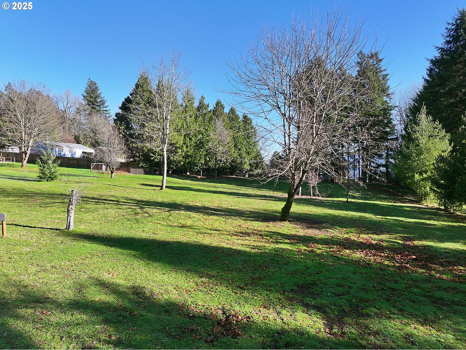 6221-4 East Loop Road Stevenson, WA 98648 - Photo 6 of 37 Gallery Image 6