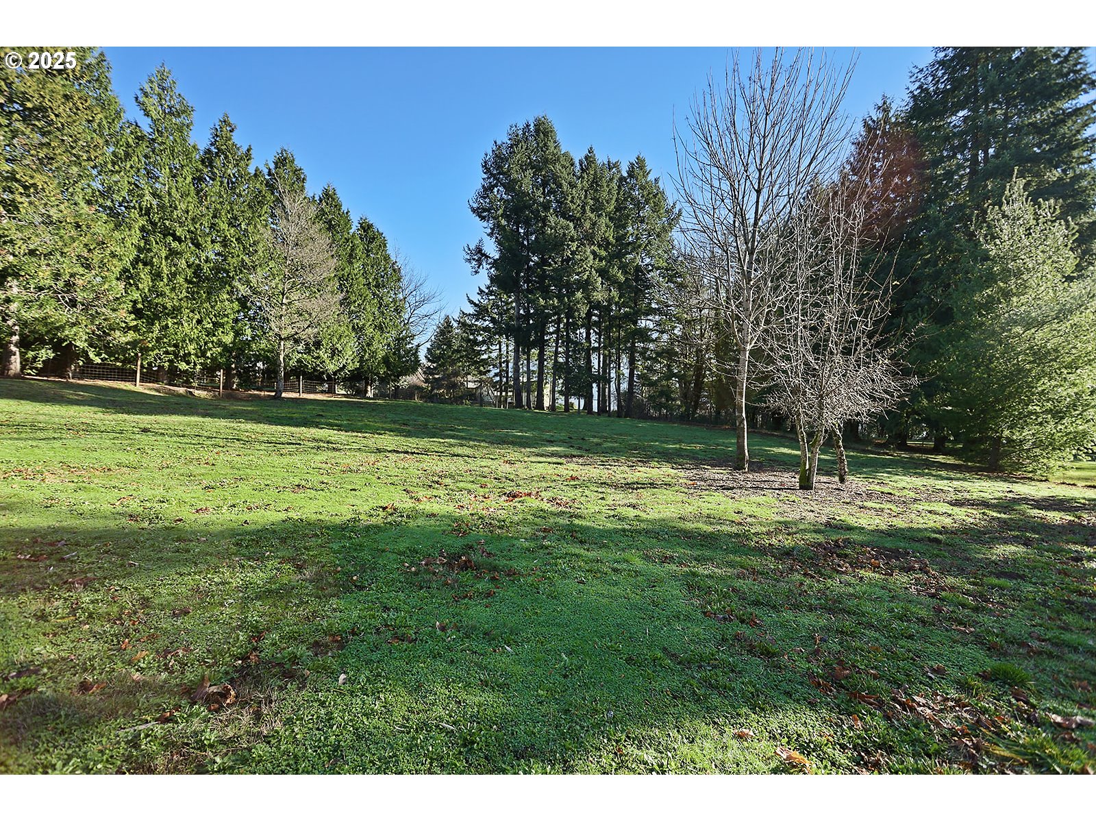 6221-4 East Loop Road Stevenson, WA 98648 - Photo 8 of 37 Gallery Image 8