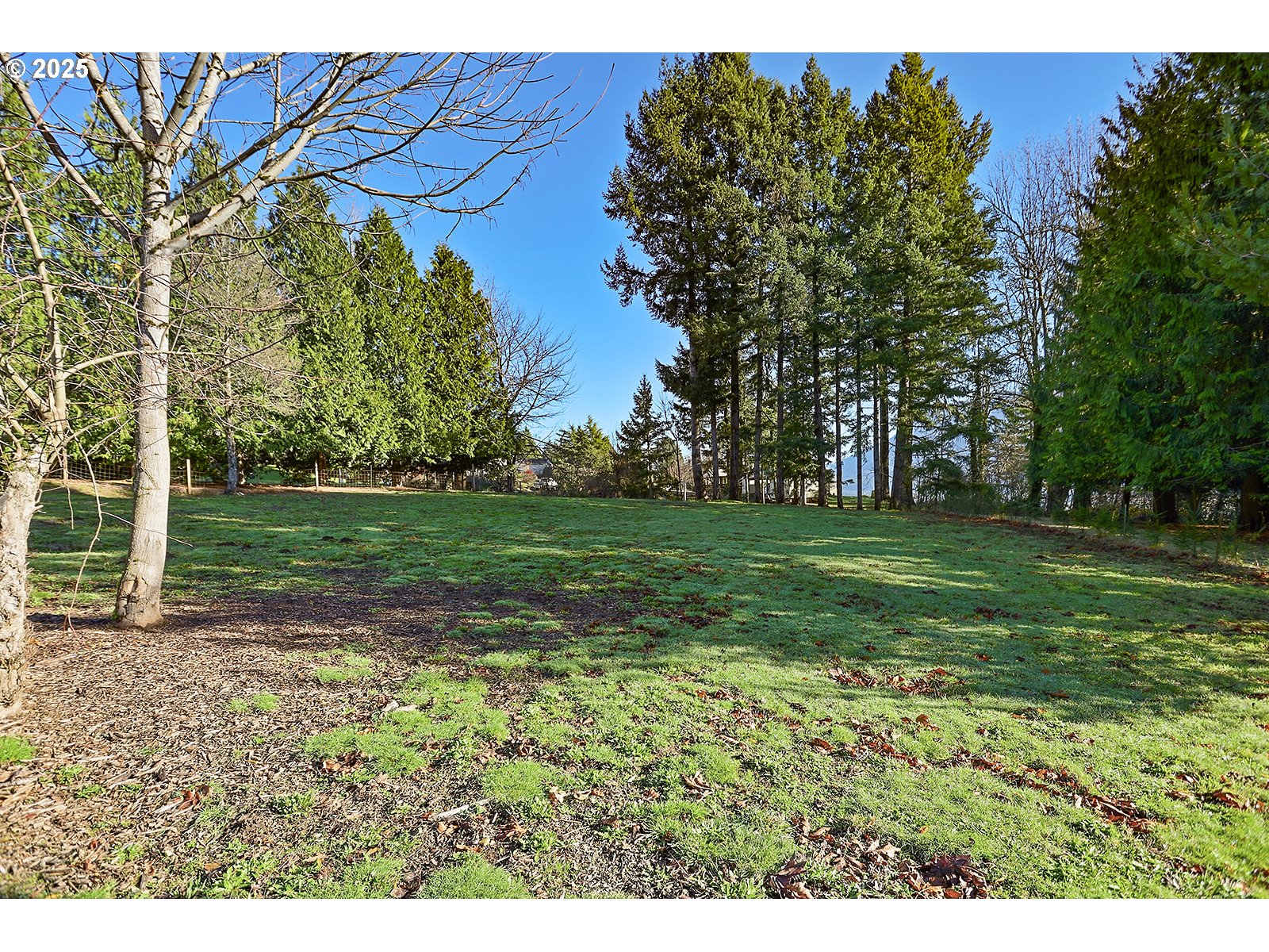 6221-4 East Loop Road Stevenson, WA 98648 - Photo 9 of 37 Gallery Image 9
