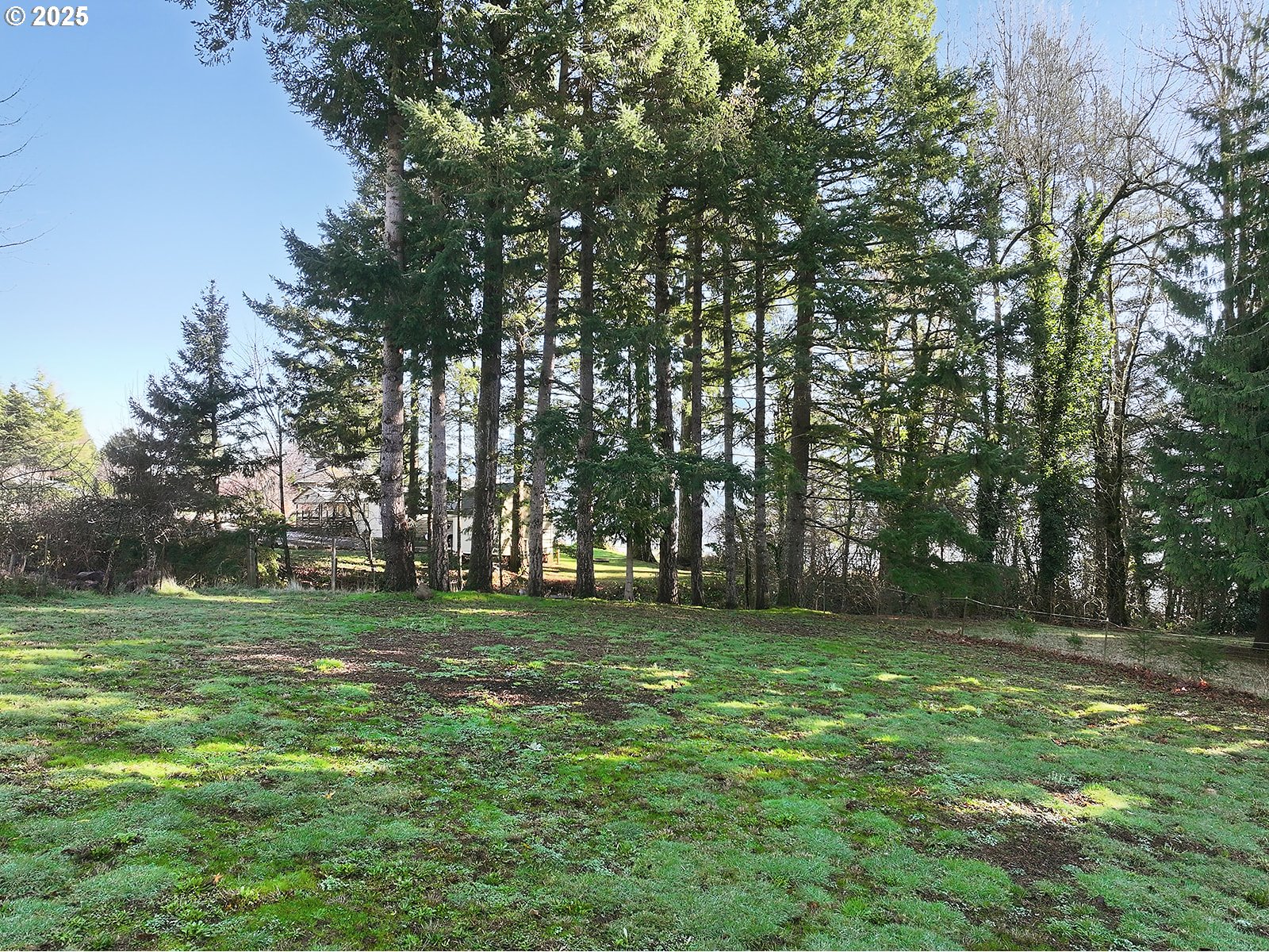 6221-4 East Loop Road Stevenson, WA 98648 - Photo 10 of 37 Gallery Image 10