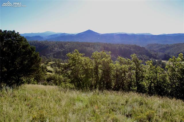 292 Pine Road Florissant, CO 80816 - Photo 8 of 14