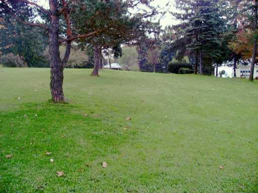 606 Chicora Road Butler, PA 16002 - Photo 2 of 5 Yard/Garden.
