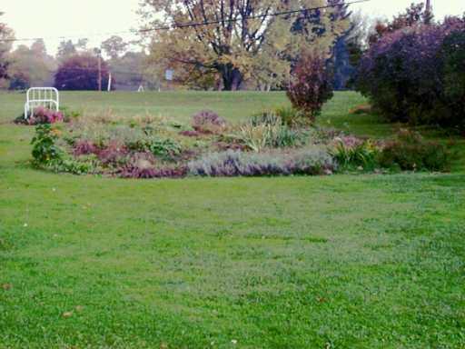 606 Chicora Road Butler, PA 16002 - Photo 4 of 5 Yard/Garden.