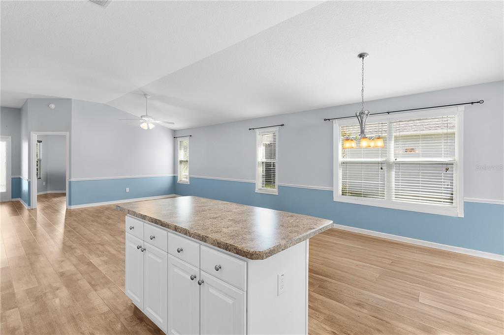 3818 Infinity Run The Villages, FL 32163 - Photo 18 of 51