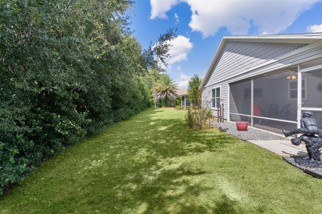 3818 Infinity Run The Villages, FL 32163 - Photo 41 of 51