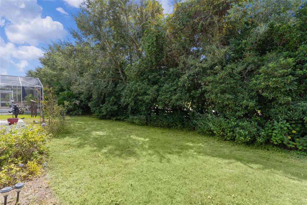 3818 Infinity Run The Villages, FL 32163 - Photo 43 of 51