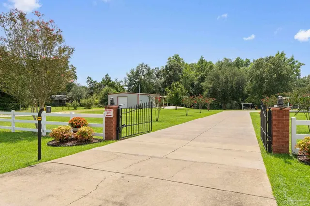 a view of a park with large trees