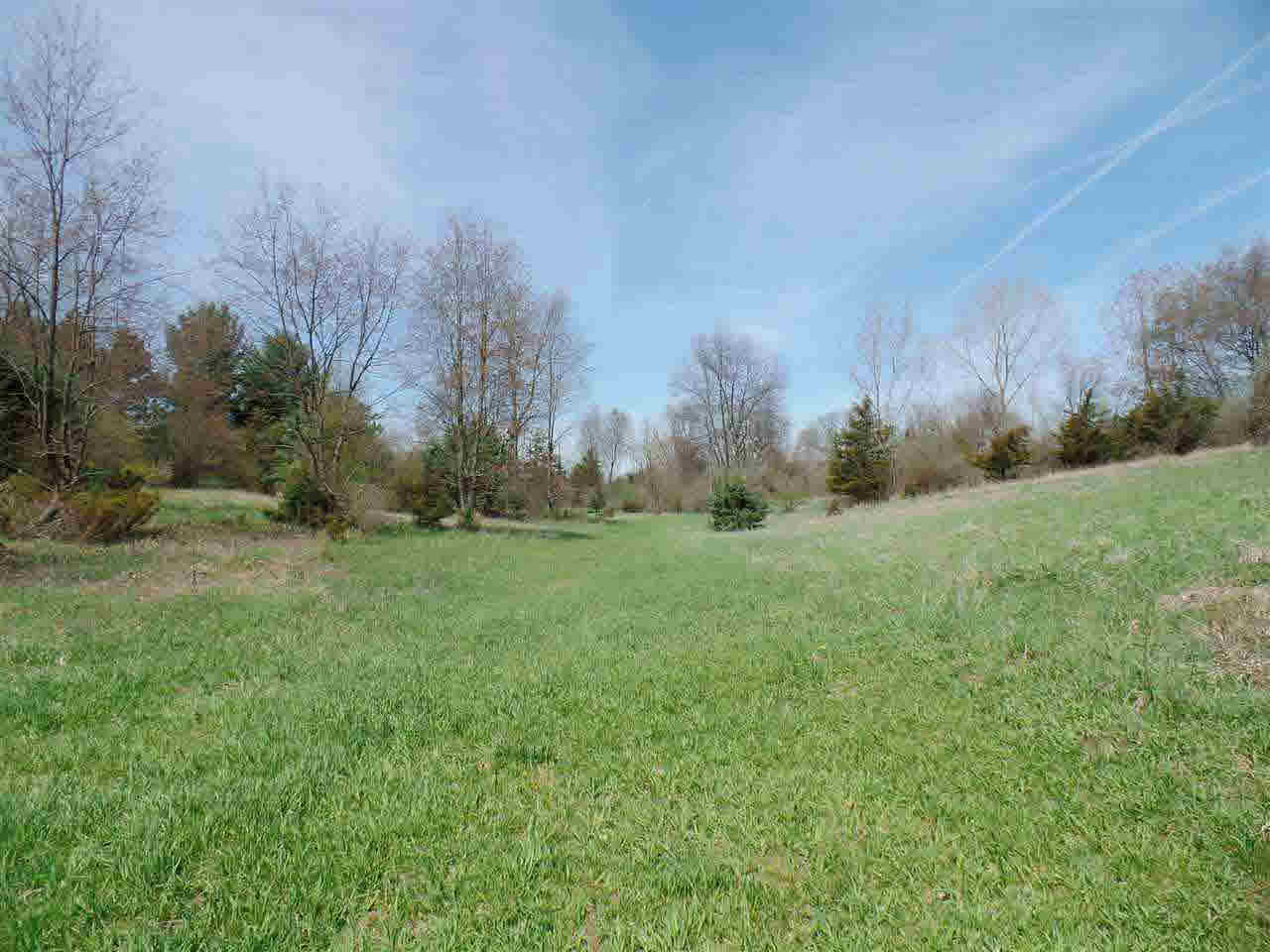 Sweezy Lake Road, Unit V/L Brooklyn, MI 49230 - Photo 8 of 21 Gallery Image 8