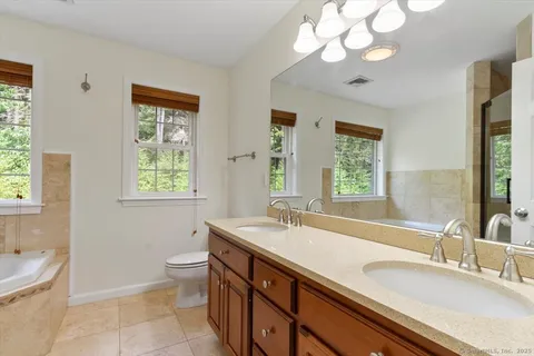 a bathroom with a double vanity sink a large mirror and a bathtub