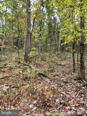 $300,000 | 0 Smalsh Barrick Road, Unit 3 PARCEL, Middleburg, PA 17842