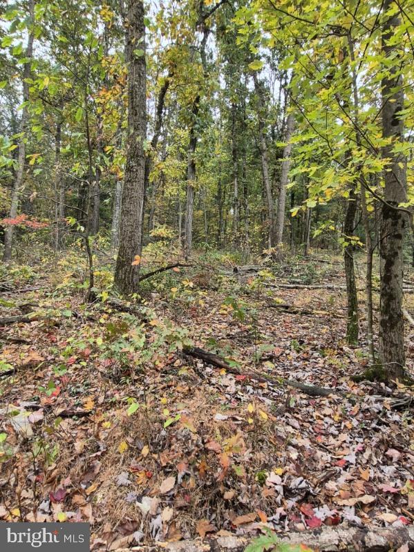 0 Smalsh Barrick Road, Unit 3 PARCEL Middleburg, PA 17842 - Photo 11 of 14 a view of a green field with lots of bushes