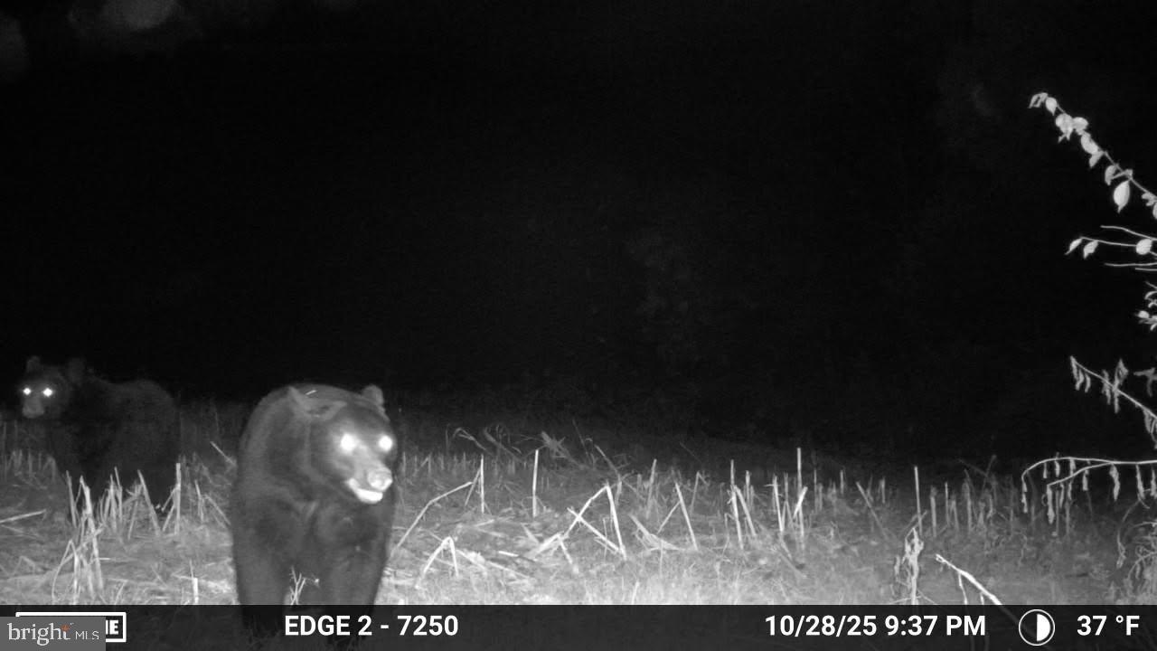 0 Smalsh Barrick Road, Unit 3 PARCEL Middleburg, PA 17842 - Photo 14 of 14