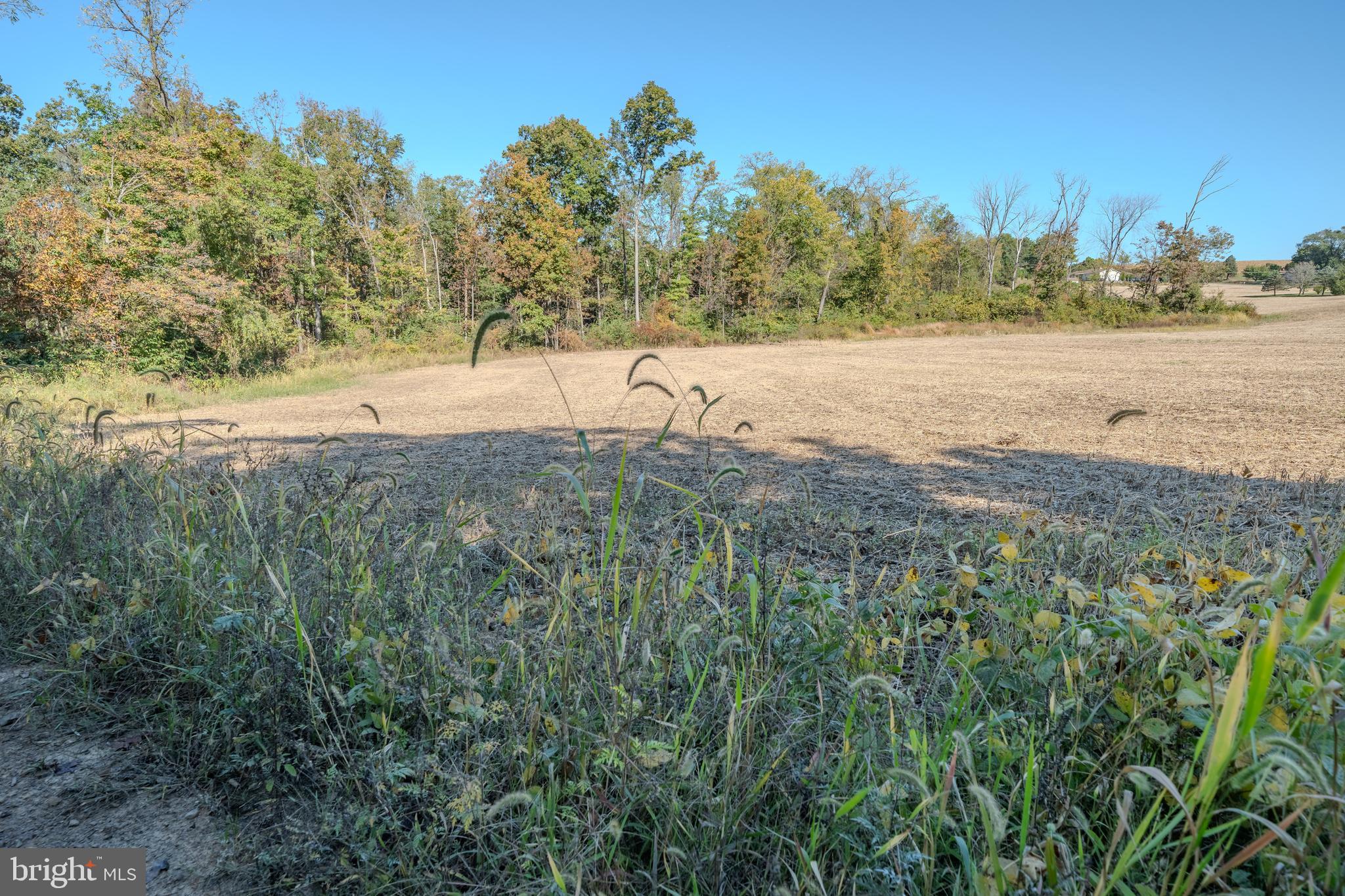0 Smalsh Barrick Road, Unit 3 PARCEL Middleburg, PA 17842 - Photo 4 of 14 a view of a field with a tree