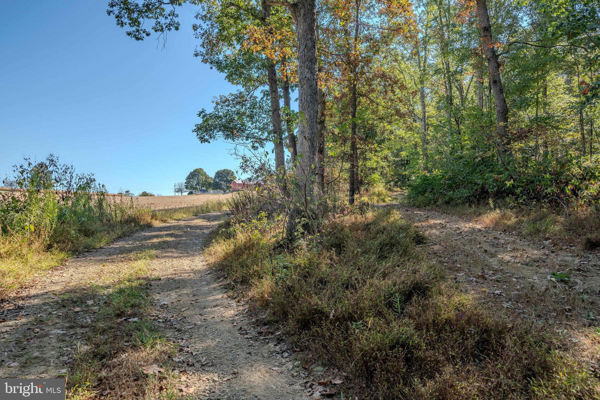 0 Smalsh Barrick Road, Unit 3 PARCEL Middleburg, PA 17842 - Photo 6 of 14 a view of a road with trees in the background