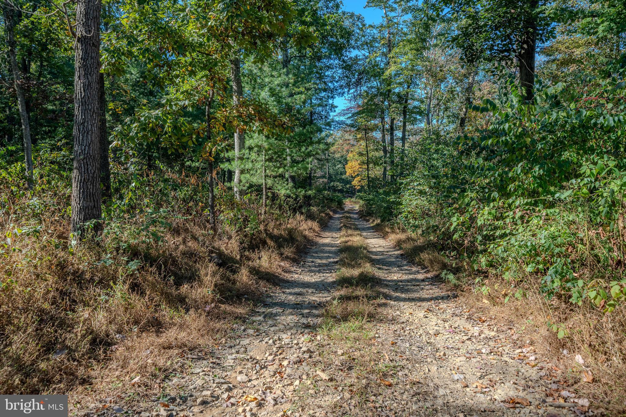 0 Smalsh Barrick Road, Unit 3 PARCEL Middleburg, PA 17842 - Photo 7 of 14 a view of a yard with plants and trees