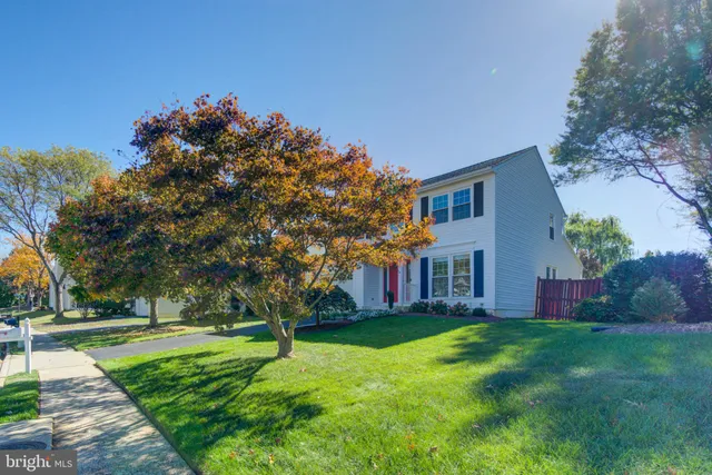 a garden with trees in front of it